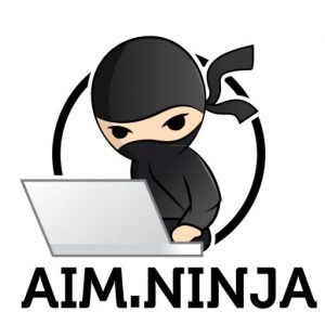affordable internet marketing ninja